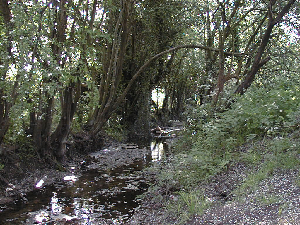 old river bed